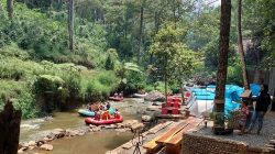 Pineus Tilu Riverside Camping