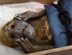 Mumi Putri Duyung Misterius Berusia 300 Tahun Diteliti oleh Ilmuwan Jepang
