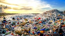 Bahaya Sampah Plastik dan Deforestasi Bagi Kehidupan