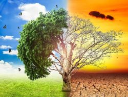 Selamatkan Bumi dengan Gaya Hidup Berkelanjutan