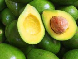 Manfaat Alpukat bagi Kesehatan Tubuh, Kamu Harus Tahu!