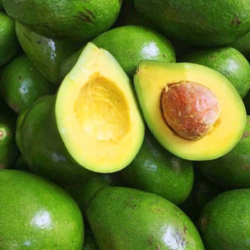 Manfaat Alpukat bagi Kesehatan Tubuh