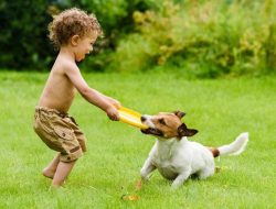 Belajar Mengenai Binatang dan Manfaatnya Bagi Anak