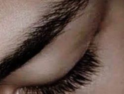 Rekomendasi Bahan Alami untuk Memanjangkan Bulu Mata dengan Cepat