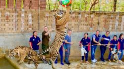 Penangkaran Satwa Liar, Solusi atau Eksploitasi Berkedok Konservasi?